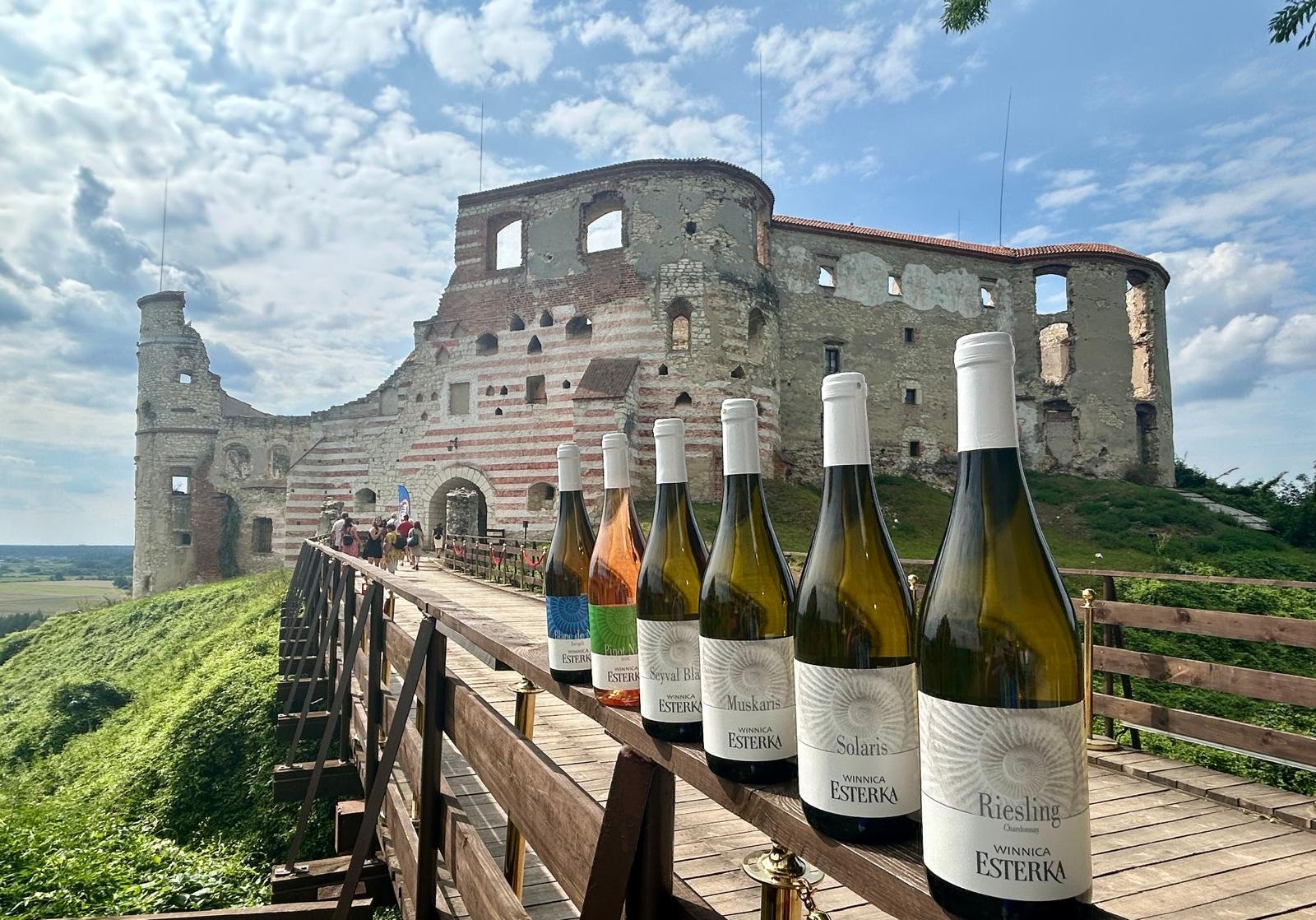 Read more about the article Jakie wybrać wino Esterka? Praktyczny poradnik smaków, okazji i potraw