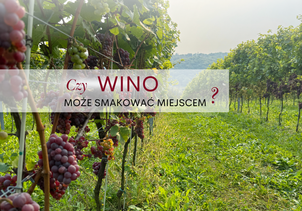 Read more about the article Czy wino może smakować miejscem?