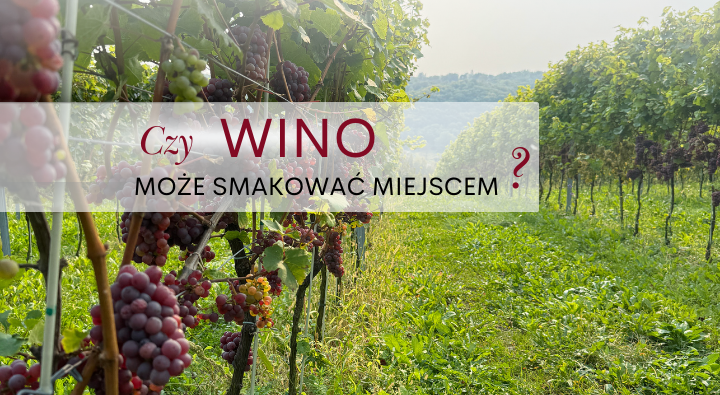 Read more about the article Czy wino może smakować miejscem?